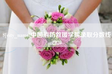 金湖中国消防救援学院录取分数线2020