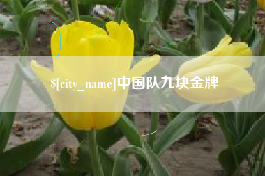 金湖中国队九块金牌
