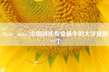 金湖中国消防专业最牛的大学是哪一个