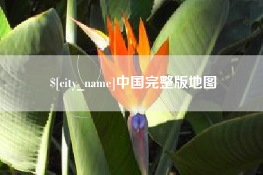 金湖中国完整版地图