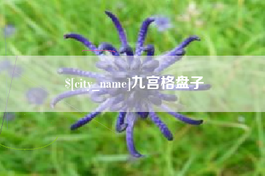 金湖九宫格盘子