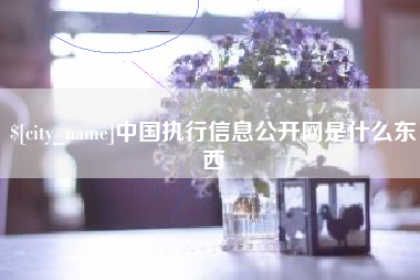 金湖中国执行信息公开网是什么东西