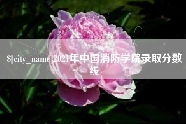 金湖2021年中国消防学院录取分数线