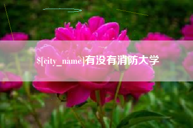 金湖有没有消防大学