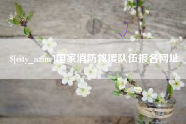 金湖国家消防救援队伍报名网址