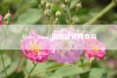 金湖消控证官网查询