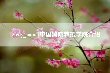 金湖中国消防救援学院介绍