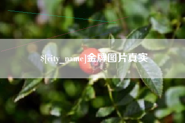 金湖金牌图片真实
