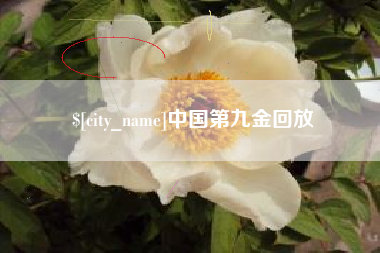 金湖中国第九金回放