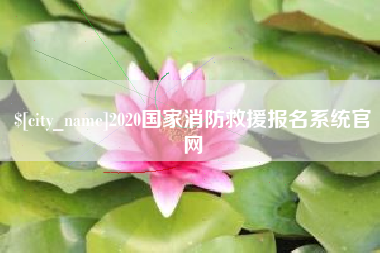 金湖2020国家消防救援报名系统官网