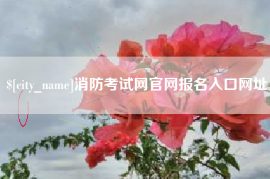 金湖消防考试网官网报名入口网址