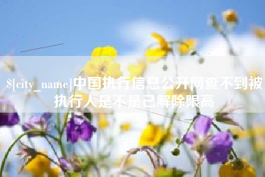 金湖中国执行信息公开网查不到被执行人是不是已解除限高