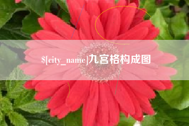 金湖九宫格构成图