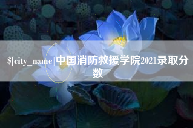 金湖中国消防救援学院2021录取分数