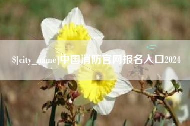 金湖中国消防官网报名入口2024