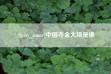 金湖中国夺金大项是谁