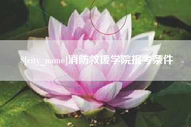 金湖消防救援学院报考条件