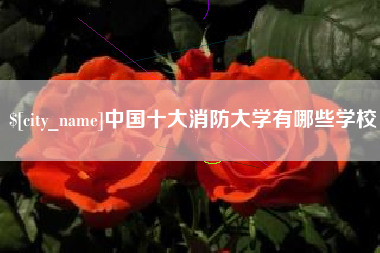 金湖中国十大消防大学有哪些学校