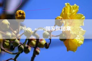 金湖国家队图案