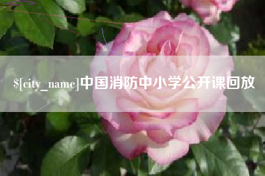 金湖中国消防中小学公开课回放