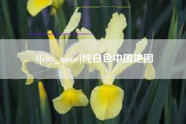金湖纯白色中国地图