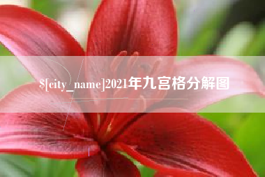 金湖2021年九宫格分解图