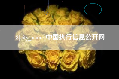 金湖中国执行信息公开网