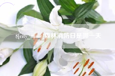 金湖森林消防日是哪一天