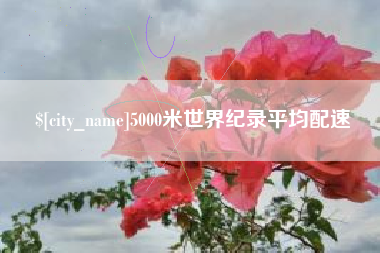 金湖5000米世界纪录平均配速