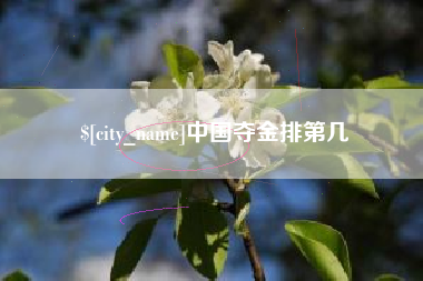 金湖中国夺金排第几