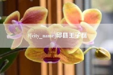 金湖邱县王子磊