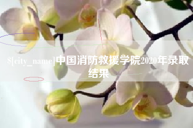 金湖中国消防救援学院2020年录取结果