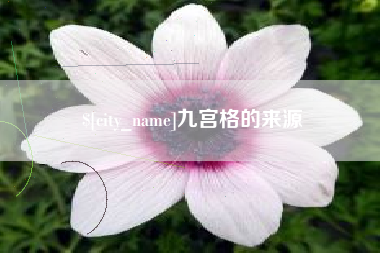 金湖九宫格的来源