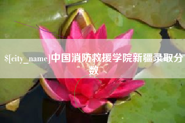 金湖中国消防救援学院新疆录取分数