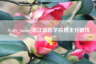 金湖浙江消防学校招生分数线