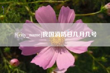 金湖我国消防日几月几号