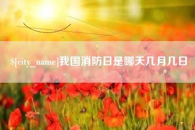 金湖我国消防日是哪天几月几日