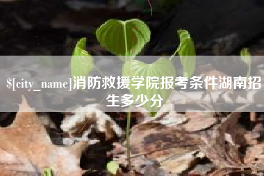 金湖消防救援学院报考条件湖南招生多少分