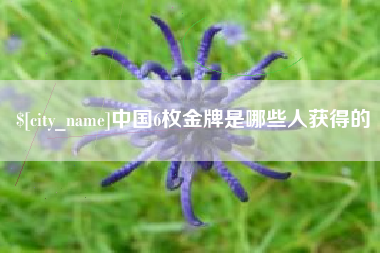 金湖中国6枚金牌是哪些人获得的
