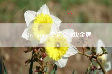 金湖奥运会39块金牌