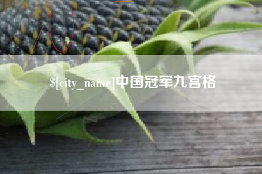 金湖中国冠军九宫格