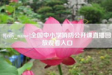 金湖全国中小学消防公开课直播回放观看入口