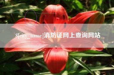 金湖消防证网上查询网站