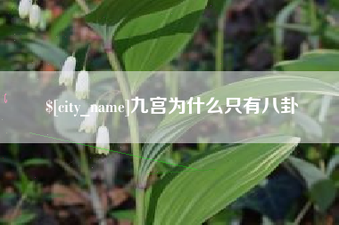 金湖九宫为什么只有八卦