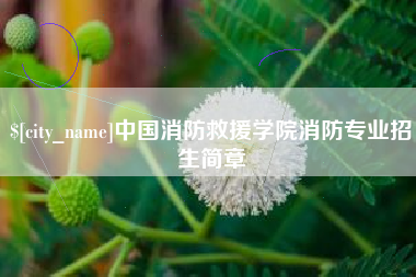 金湖中国消防救援学院消防专业招生简章
