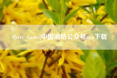 金湖中国消防公众号app下载