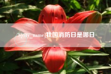 金湖我国消防日是哪日