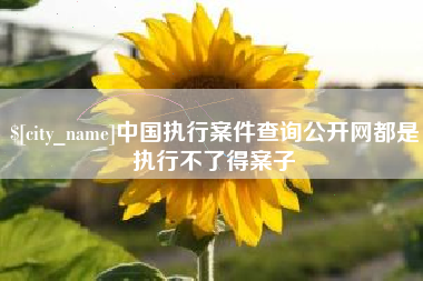 金湖中国执行案件查询公开网都是执行不了得案子