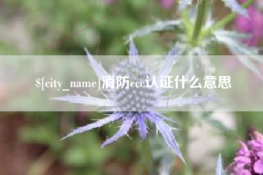 金湖消防ccc认证什么意思