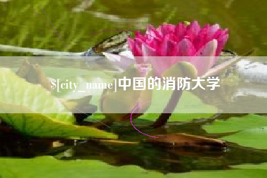 金湖中国的消防大学